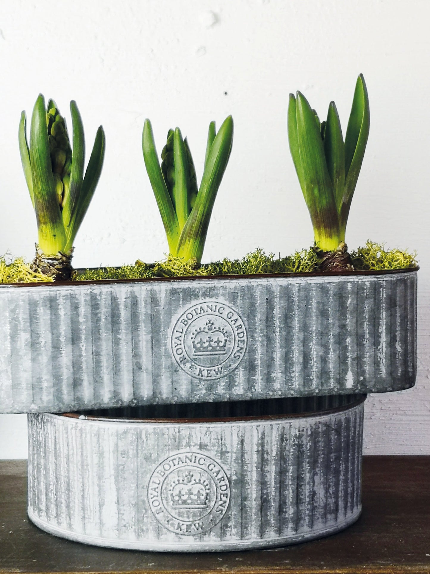Kew Gardens Ribbed Zinc Planter