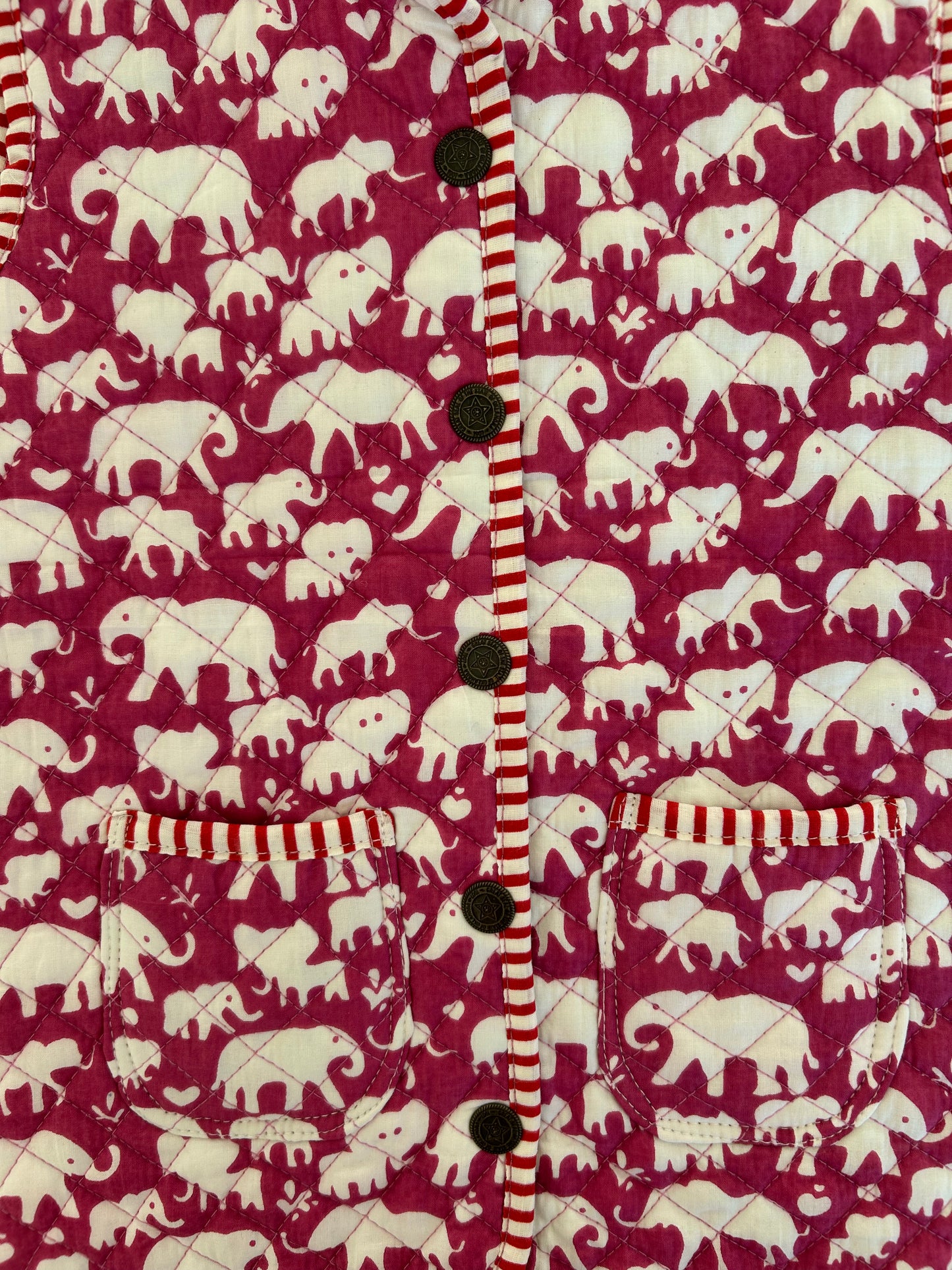 Pink Elephants Gilet